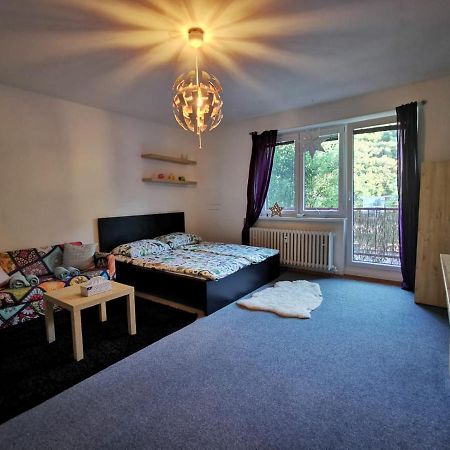 Cely Apartman Podlesi 54M2 S Dvema Balkony A S Novou Manzelskou Posteli, Zatim Neni Na Fotkach Appartamento Brno Esterno foto