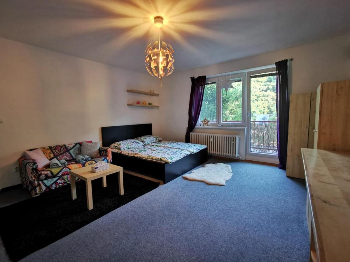 Cely Apartman Podlesi 54M2 S Dvema Balkony A S Novou Manzelskou Posteli, Zatim Neni Na Fotkach Appartamento Brno Esterno foto